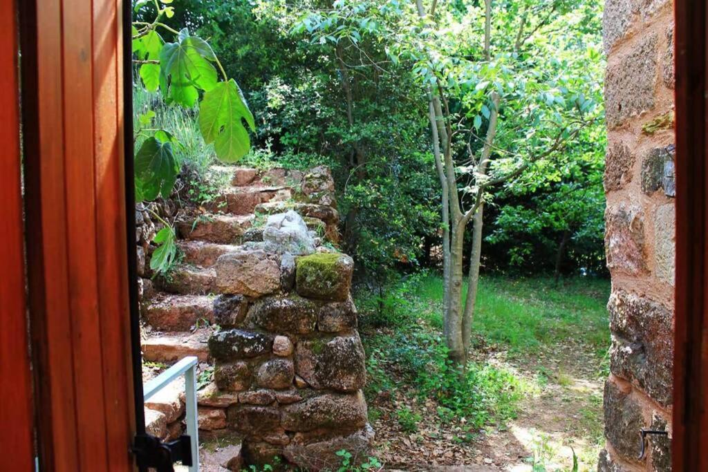 Belle Et Grande Maison Ardechoise Payzac  Bagian luar foto